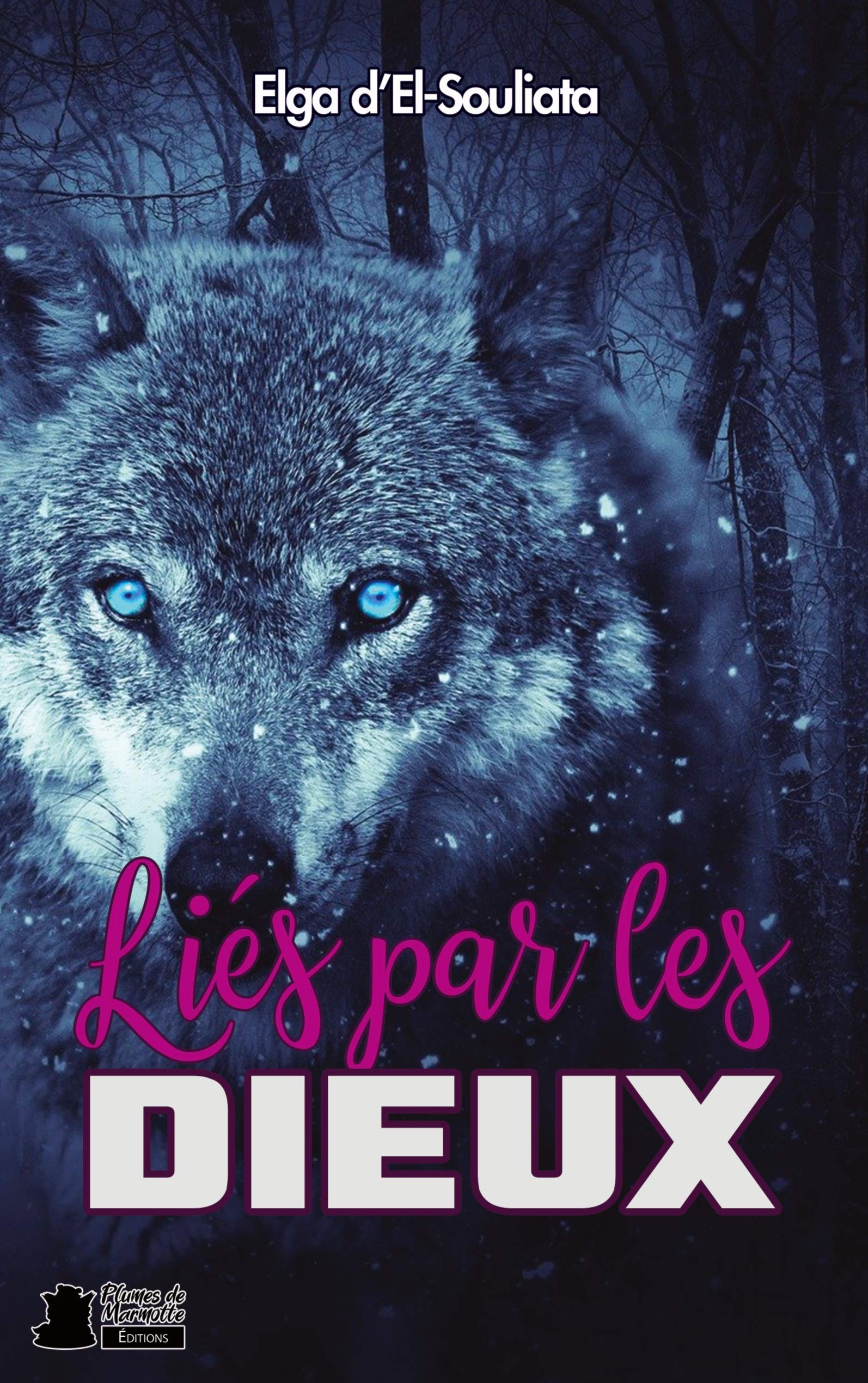 Liés par les dieux: Young adult fantasy, loup-garou Urban Fantasy