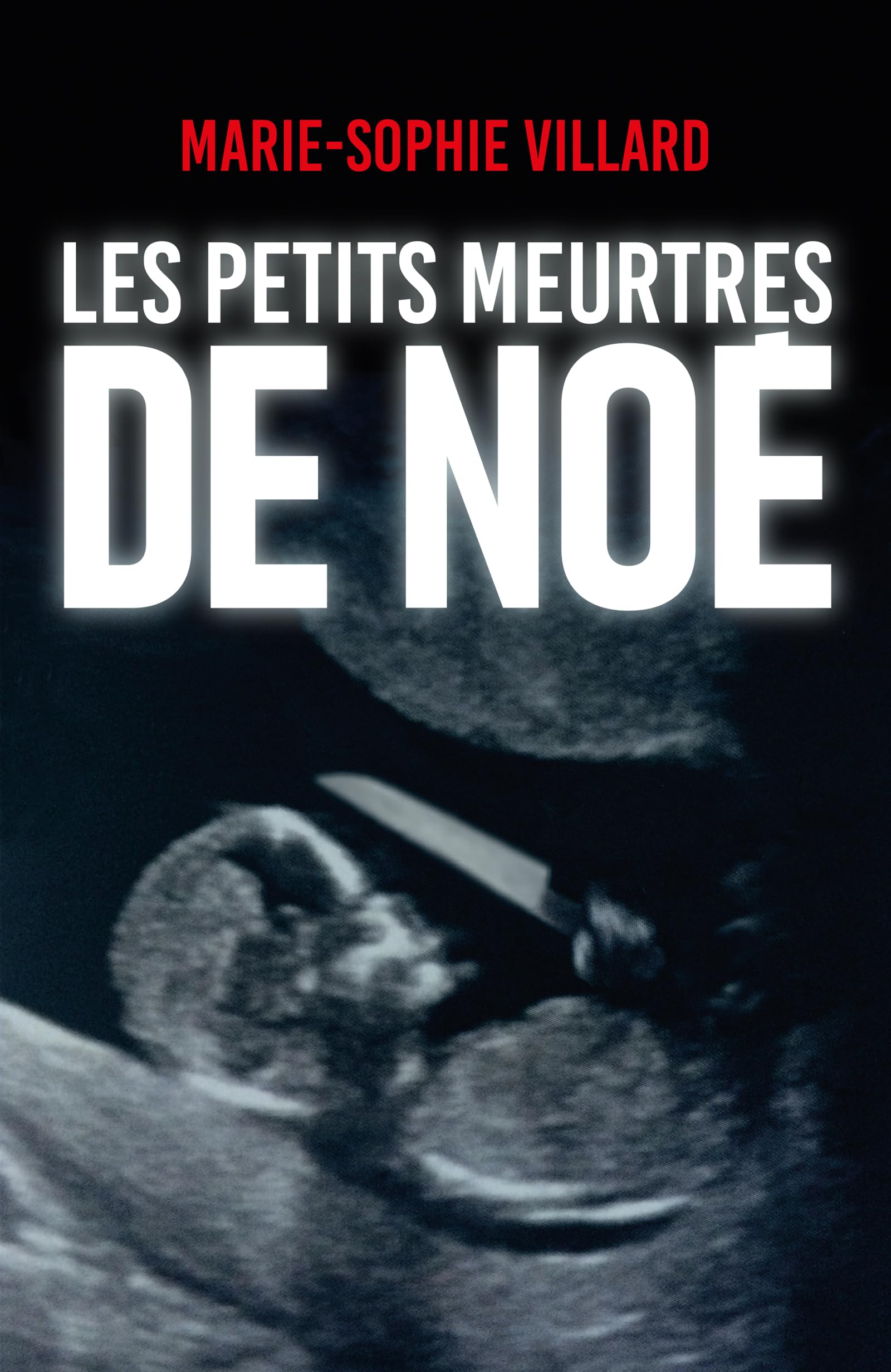 Les petits meurtres de Noé Contemporary literature