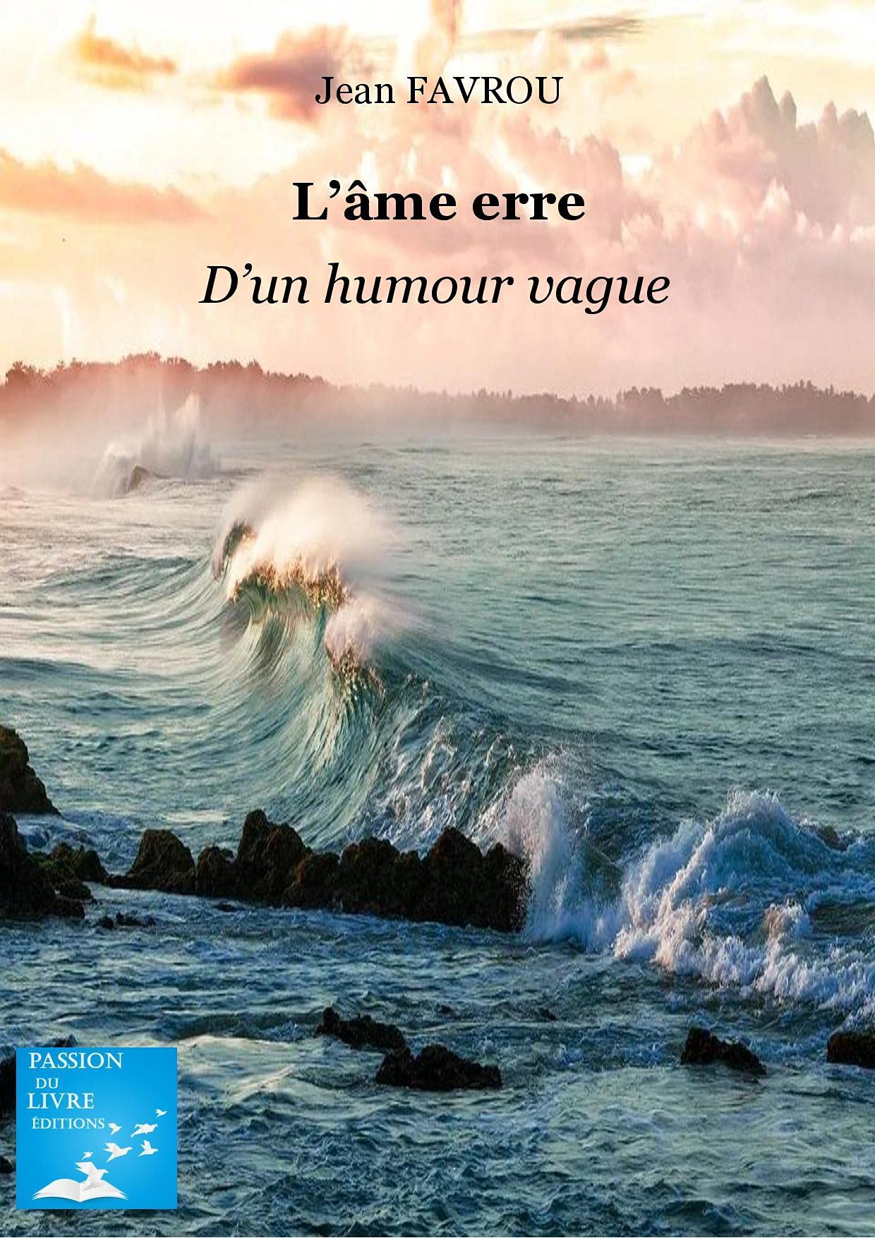 L'âme erre... d'un humour vague ! book