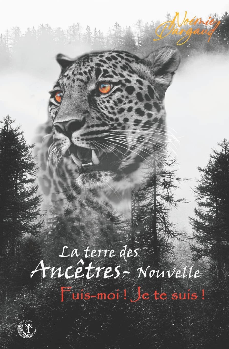 Fuis-moi, je te suis: Bit-lit adulte book