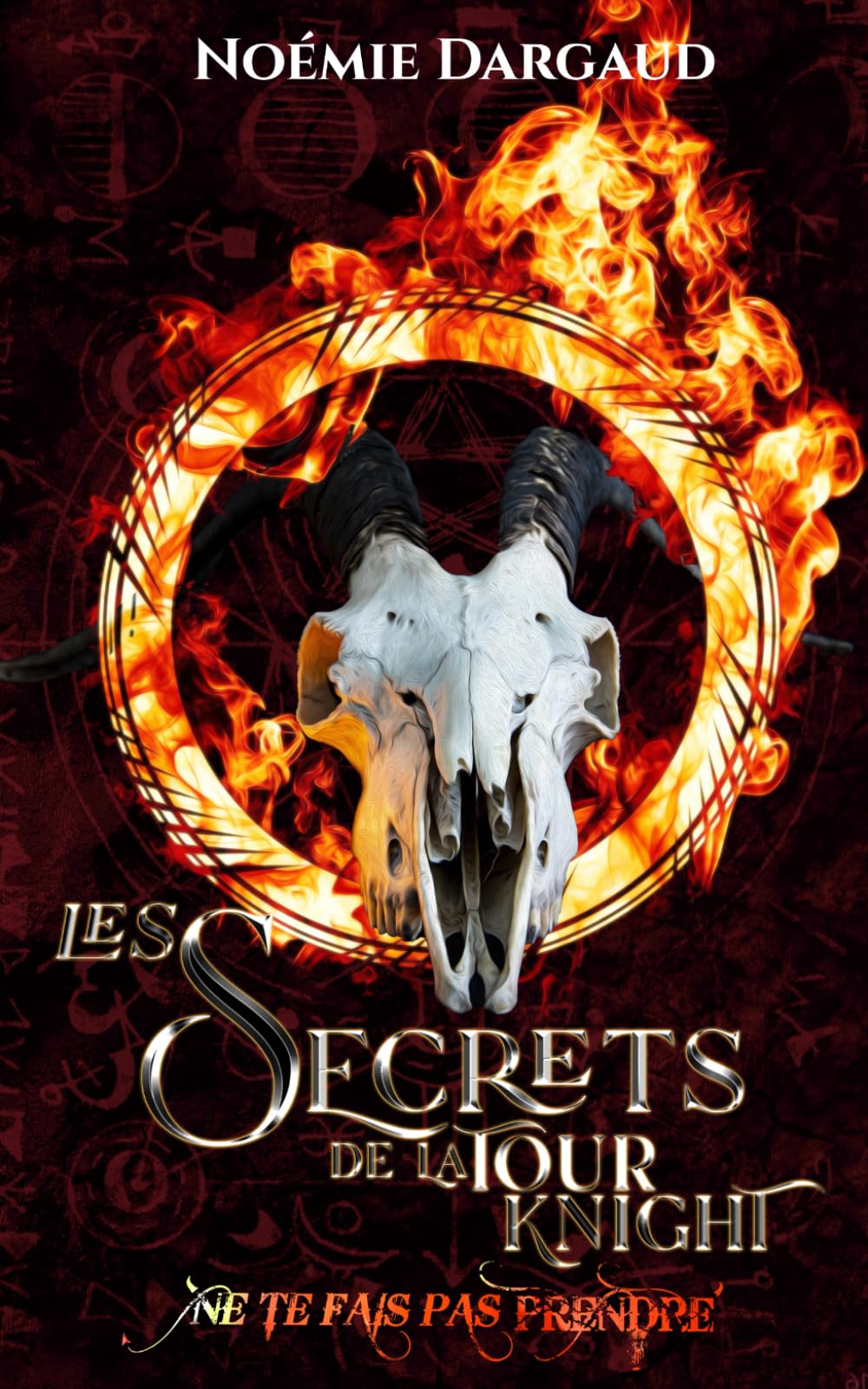 Les secrets de la tour Knight: Recueil de Nouvelles book