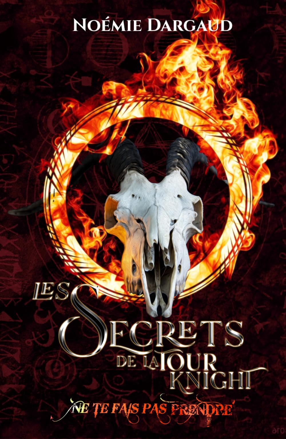 Les secrets de la tour Knight: Recueil de Nouvelles book