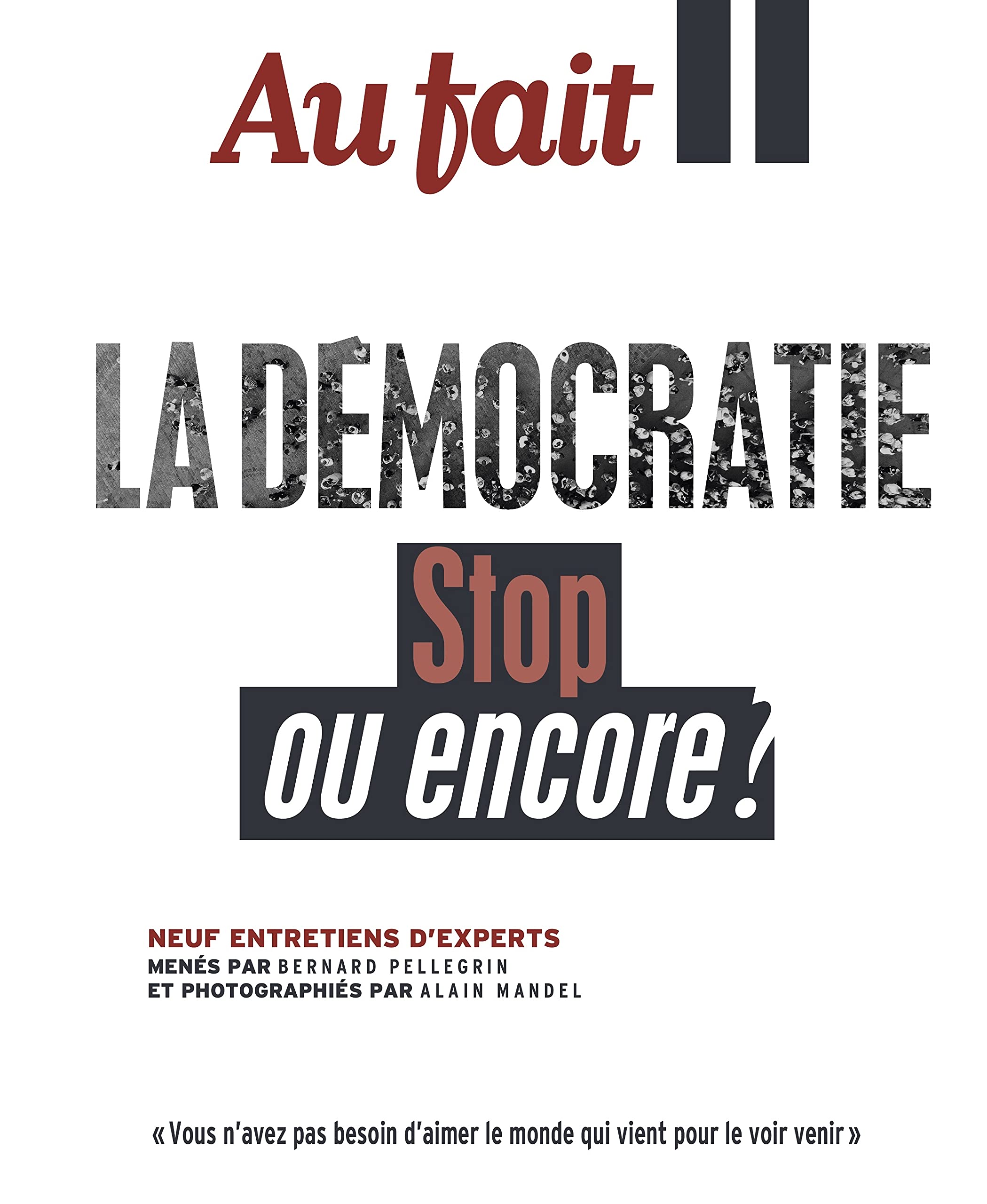 Au Fait La Démocratie: Stop ou encore ? book