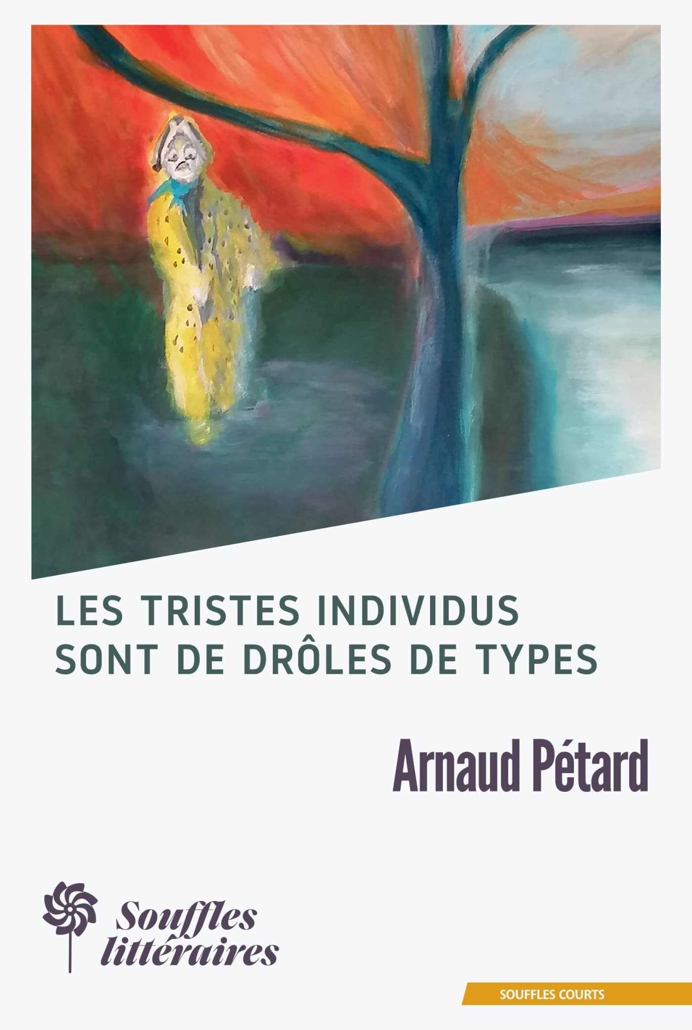 Les tristes individus sont de drôles de types book