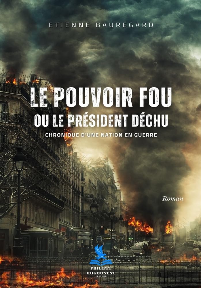 Le Pouvoir Fou ou le Président Déchu: Chronique d'une Nation en Guerre book