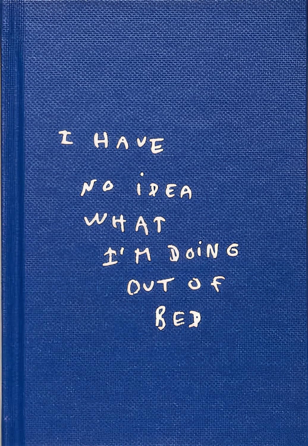 I Have No Idea What I'm Doing Out Of Bed Contemporary literature