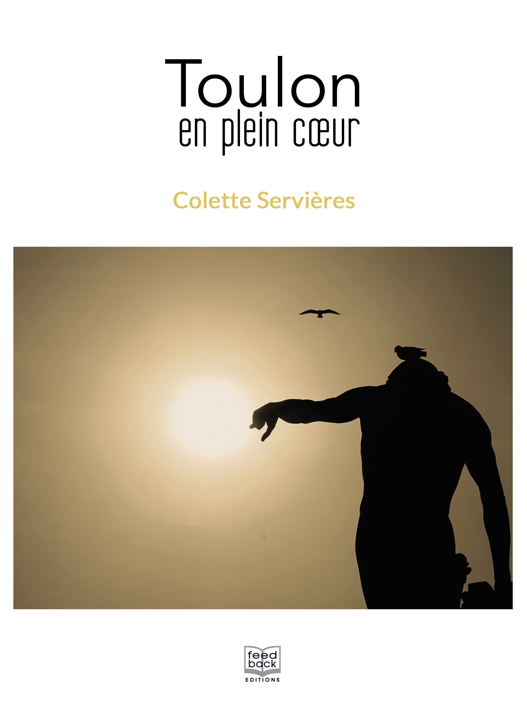 Toulon en plein coeur book