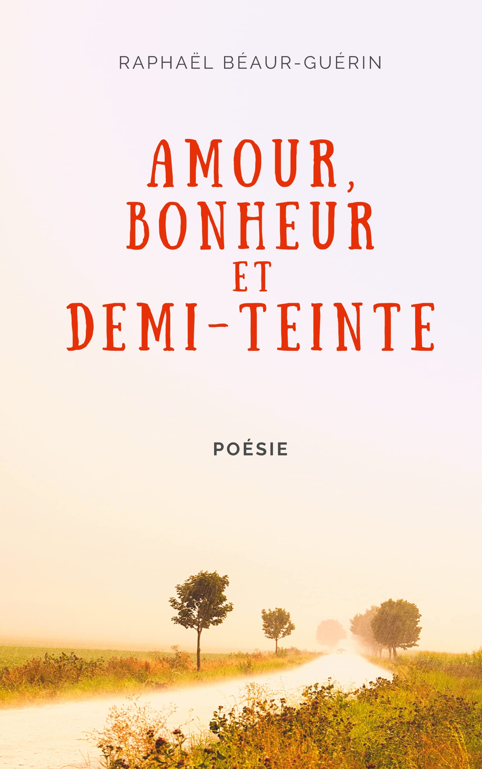 Amour, bonheur et demi-teinte book