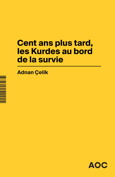 Dans la Turquie d'Erdogan, l'arme judiciaire au service du négationnisme d'Etat ?. Cent ans plus tard, les Kurdes au bord de la survie Social Sciences