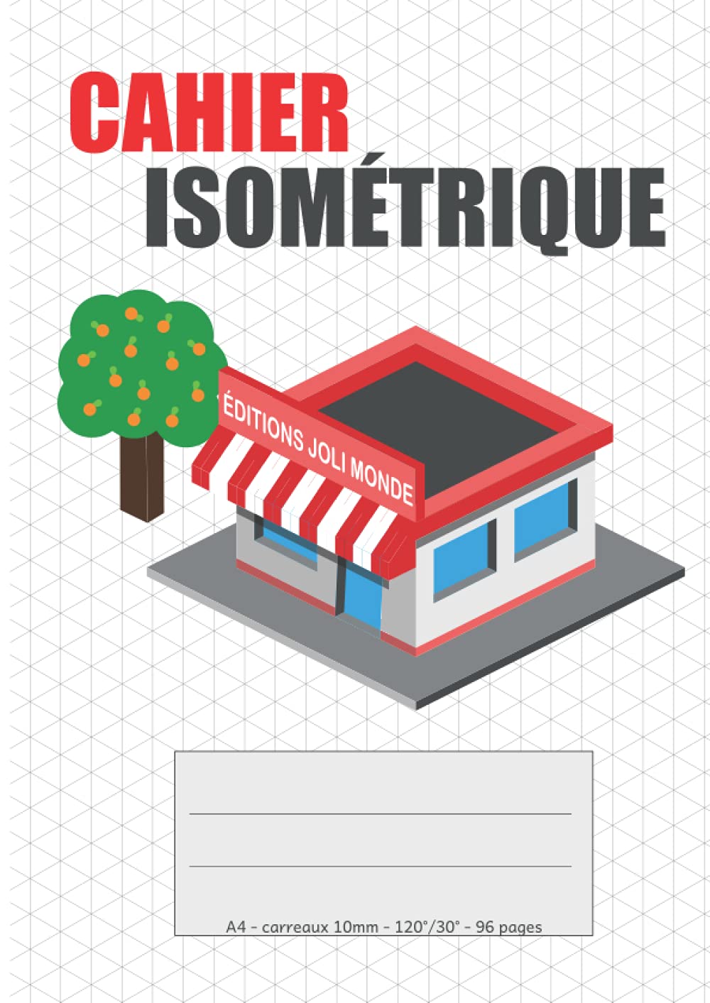 Cahier Isométrique A4: Spécial dessin en 3D | Dessiner en perspective mode, pixel art, architecture, maths.. | Grilles en gris clair, carreaux 10mm, 120°/30°, 96 pages | Enfant dès 5 ans Non-fiction