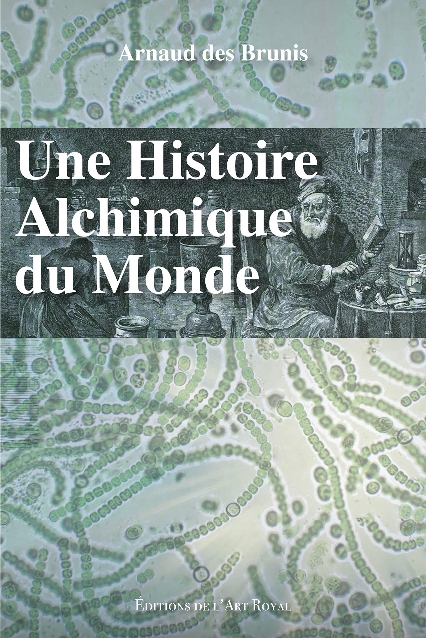 Une histoire alchimique du monde Natural Sciences