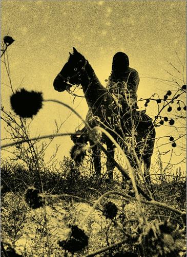 Aux ombres : un essai visuel documentaire sur les chevauchées Lakota. To the shadows : a visual documentary essay about Lakota rides Film, Art & Culture