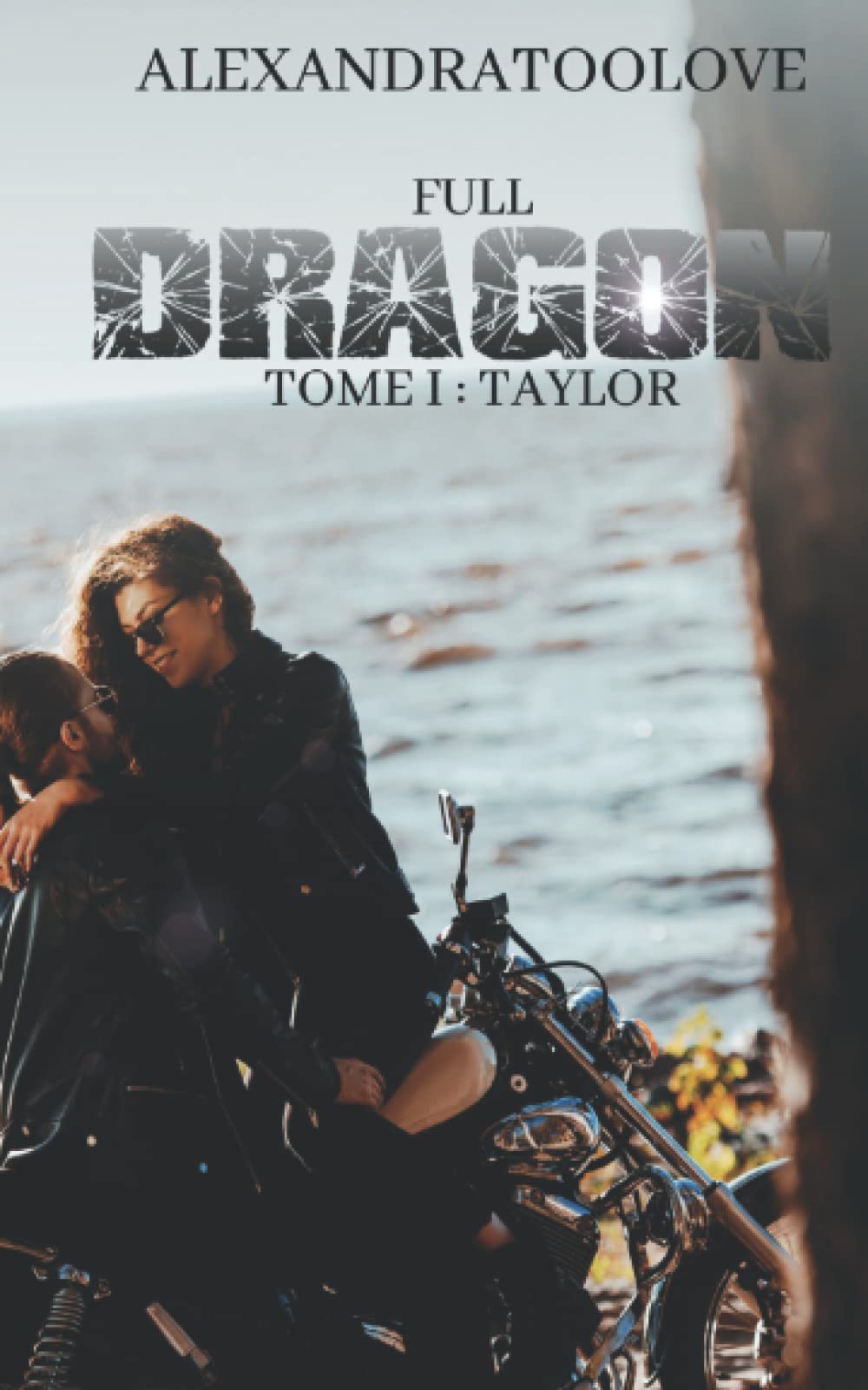 FULL DRAGON: Taylor Action & Adventure