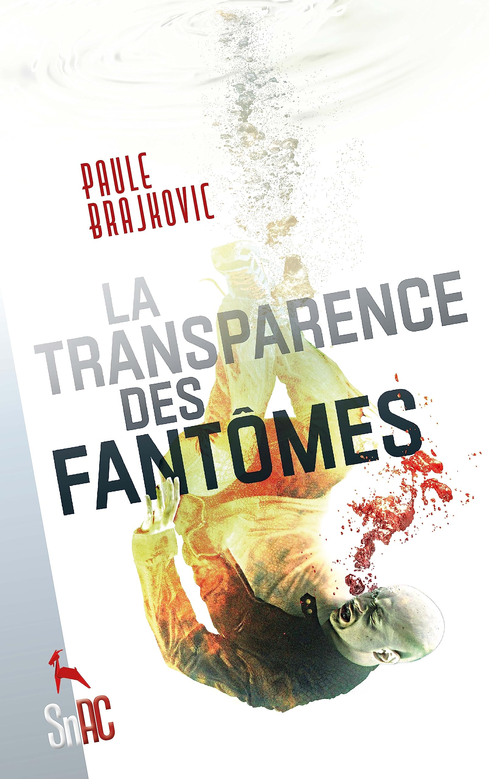 La Transparence des fantômes book