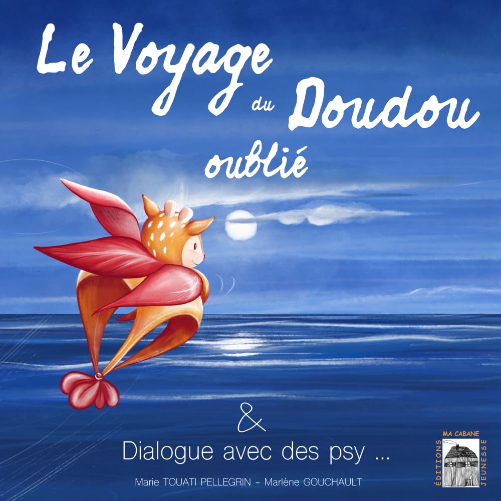 Le voyage du doudou oublié book