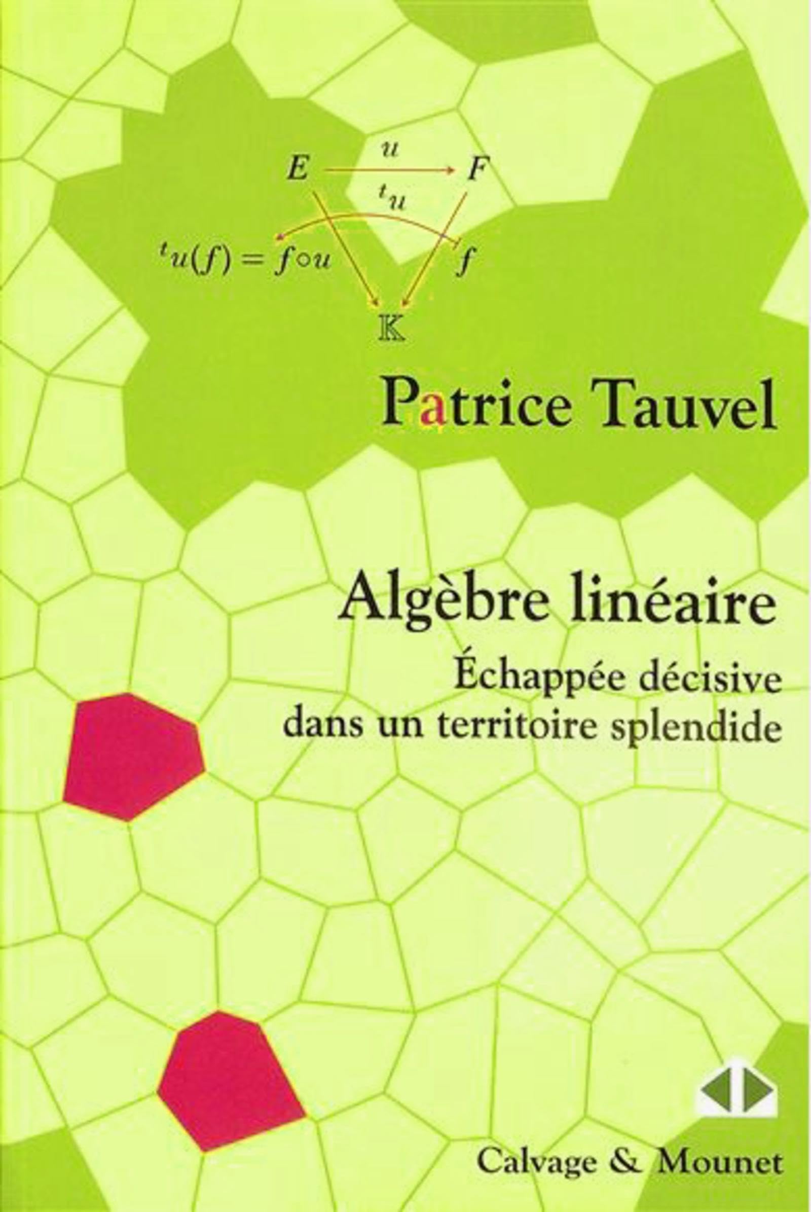 Algèbre linéaire: Échappée décisive dans un territoire splendide book