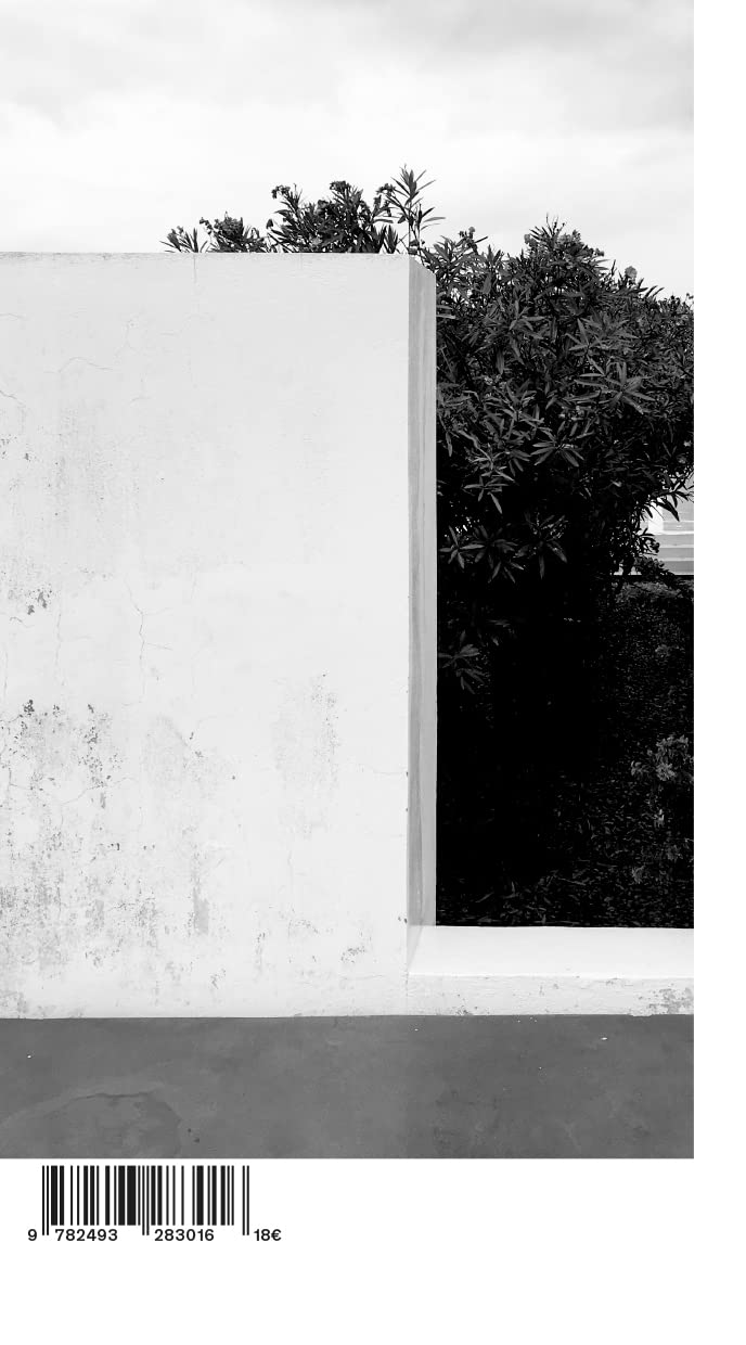 Une machine à penser: La maison de Paros de Silvia Gmür et Livio Vacchini book