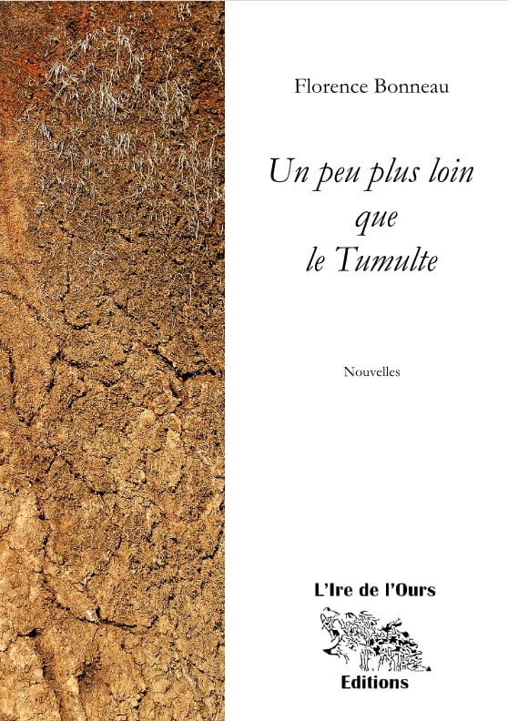 Un peu plus loin que le Tumulte book