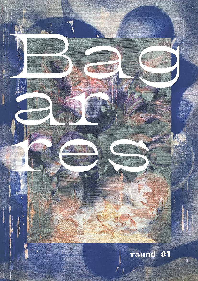 Bagarres n° 01 book