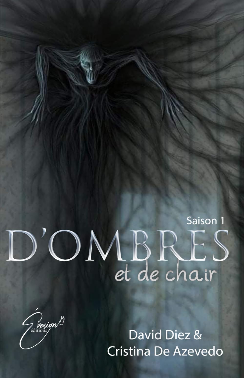 D'ombres et de chair: Saison 1 book