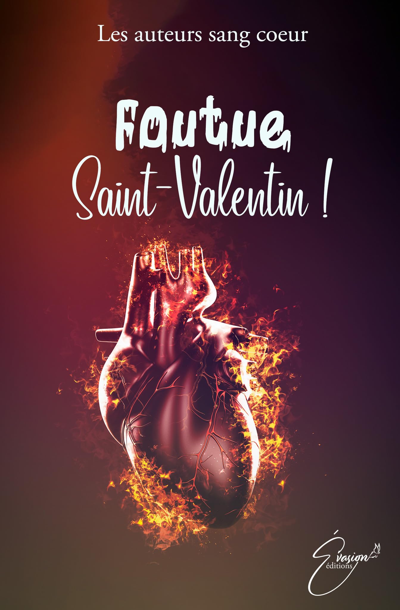 Foutue Saint-Valentin ! book