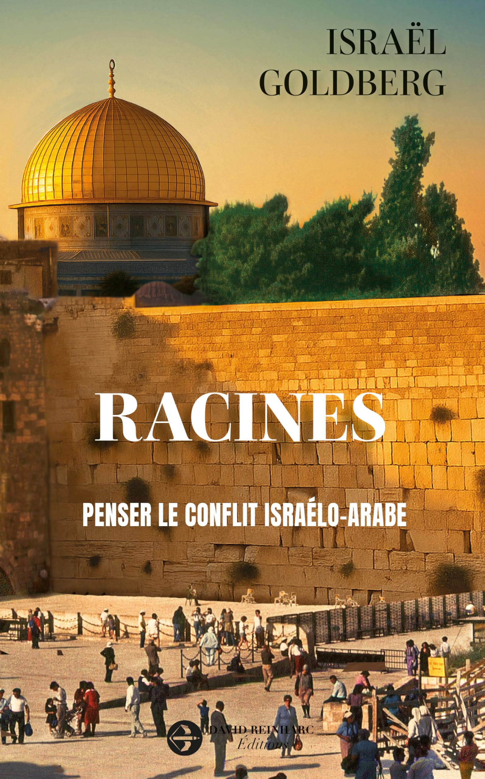 Racines: Penser le conflit israélo-arabe book