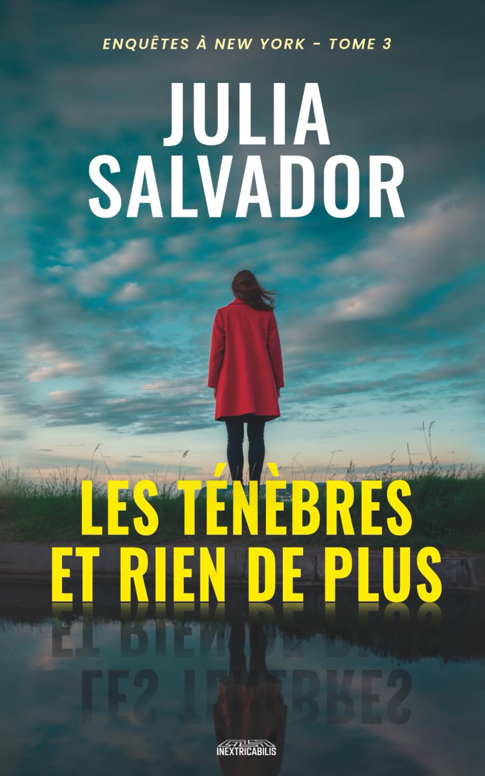 Les Ténèbres et rien de plus (Enquêtes à New York, Band 3) Detective & CSI
