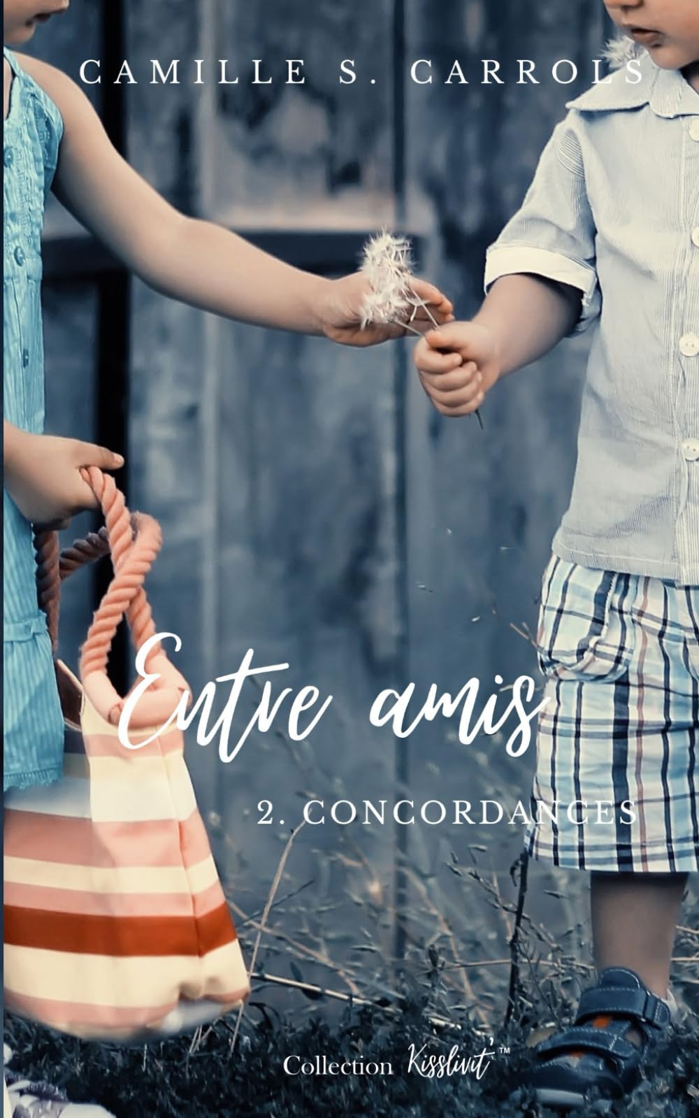 Concordances (Entre amis, Band 2) Contemporary literature