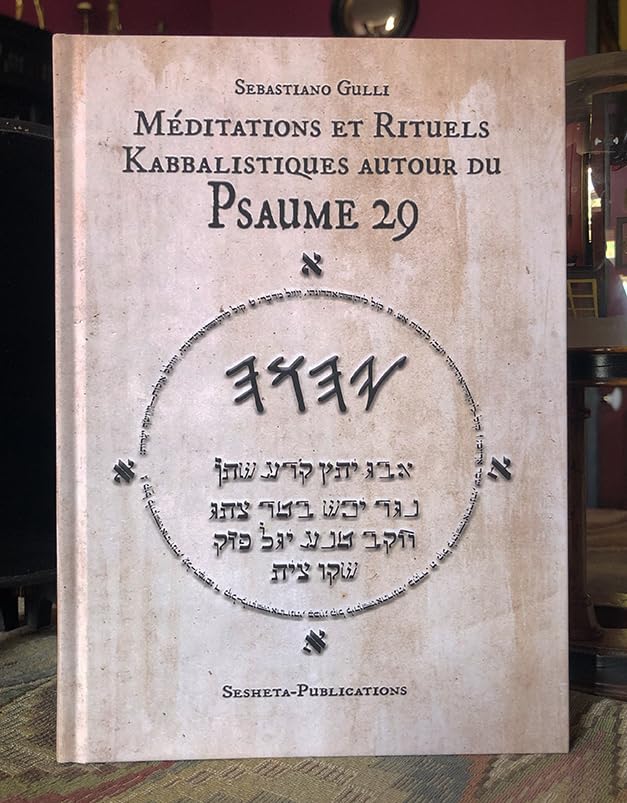 Méditations et Rituels Kabbalistiques autour du Psaume 29 book