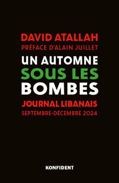 Un automne sous les bombes : journal libanais : septembre-décembre 2024 book