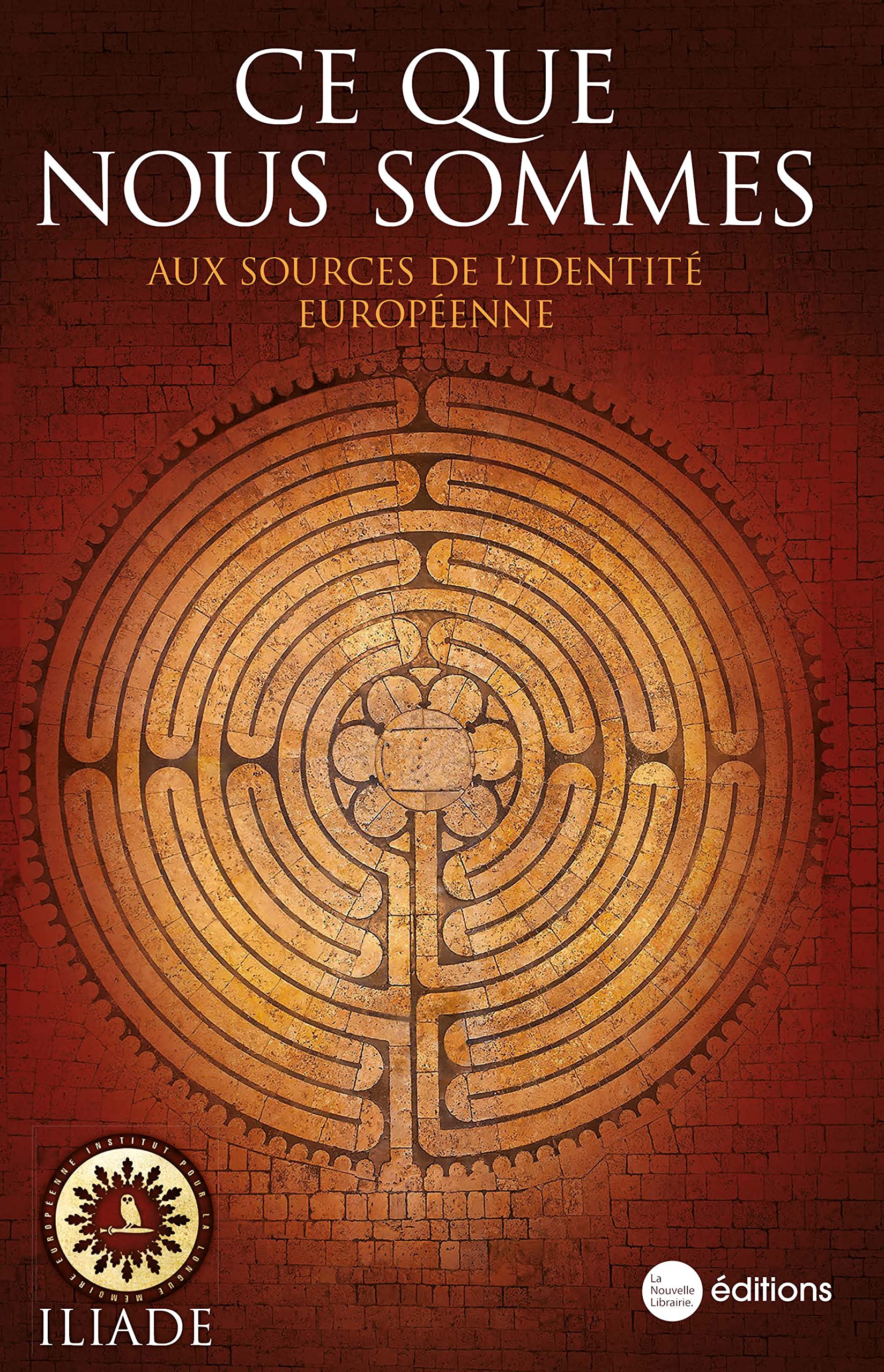 Ce que nous sommes: Aux sources de l'identité européenne book