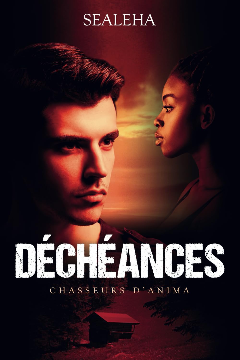 Déchéances: thriller fantastique (Chasseurs d'Anima, Band 2) Contemporary literature
