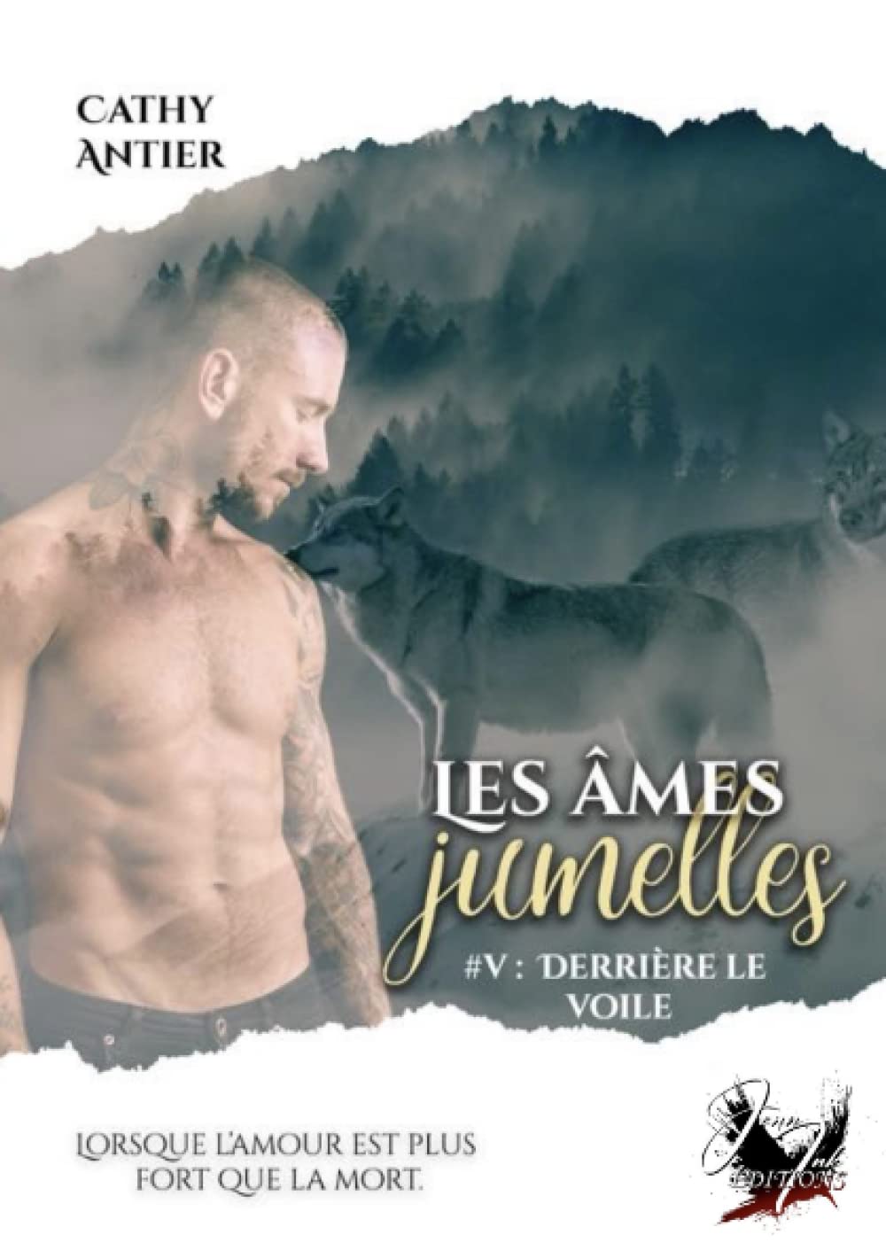 Les Âmes-Jumelles #5 Derrière le voile: Imaginaire/MxM book