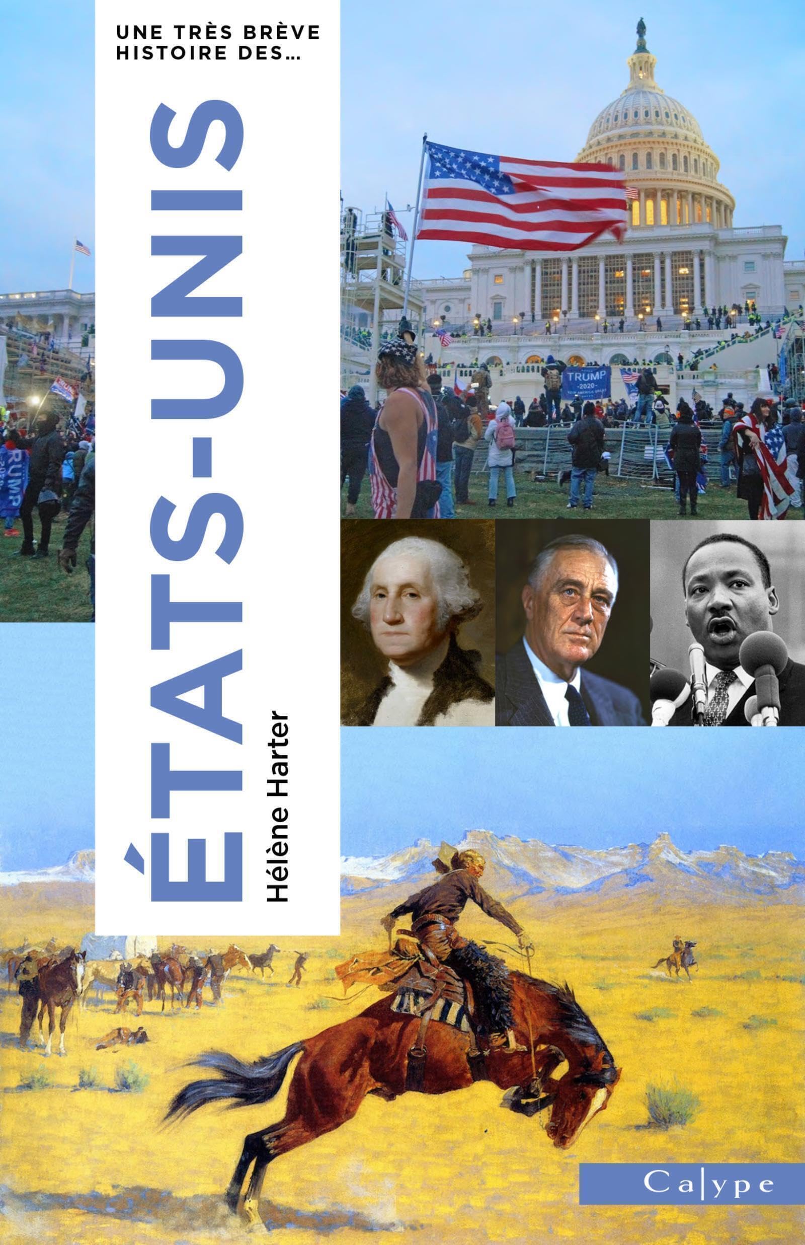 Très brève histoire des Etats-Unis book