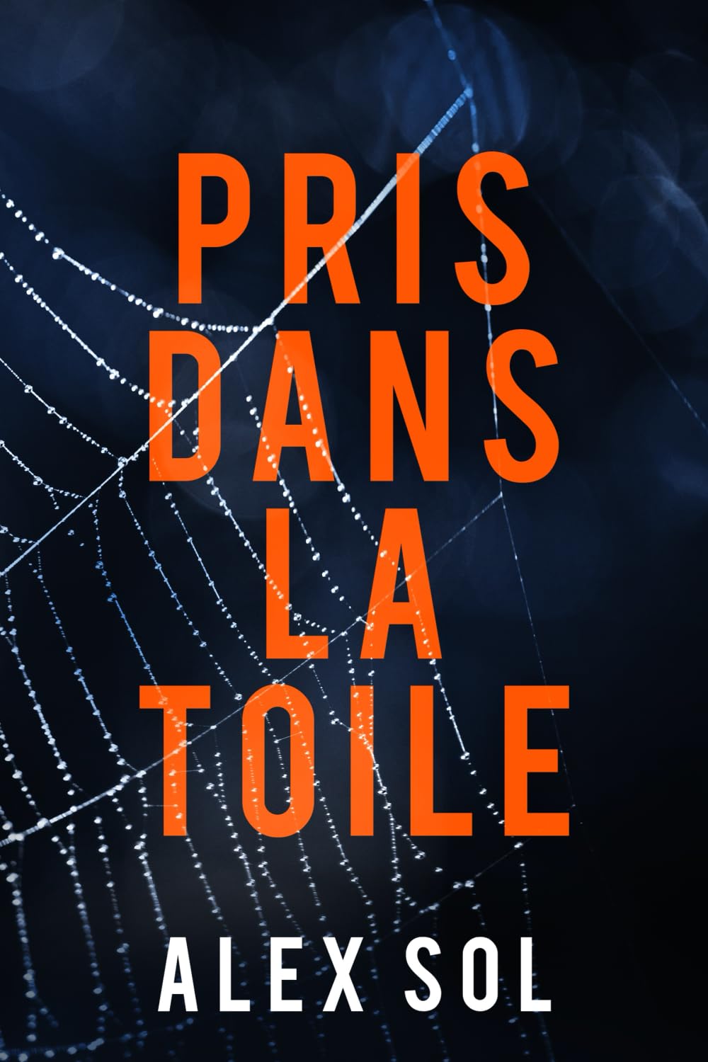 Pris dans la toile: thriller psychologique book