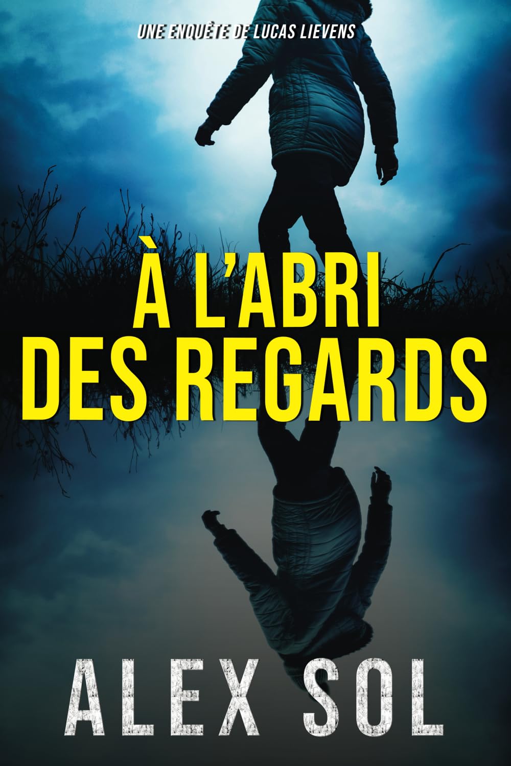 À l'abri des regards (Les enquêtes d'Elise Duromain et Lucas Lievens) book