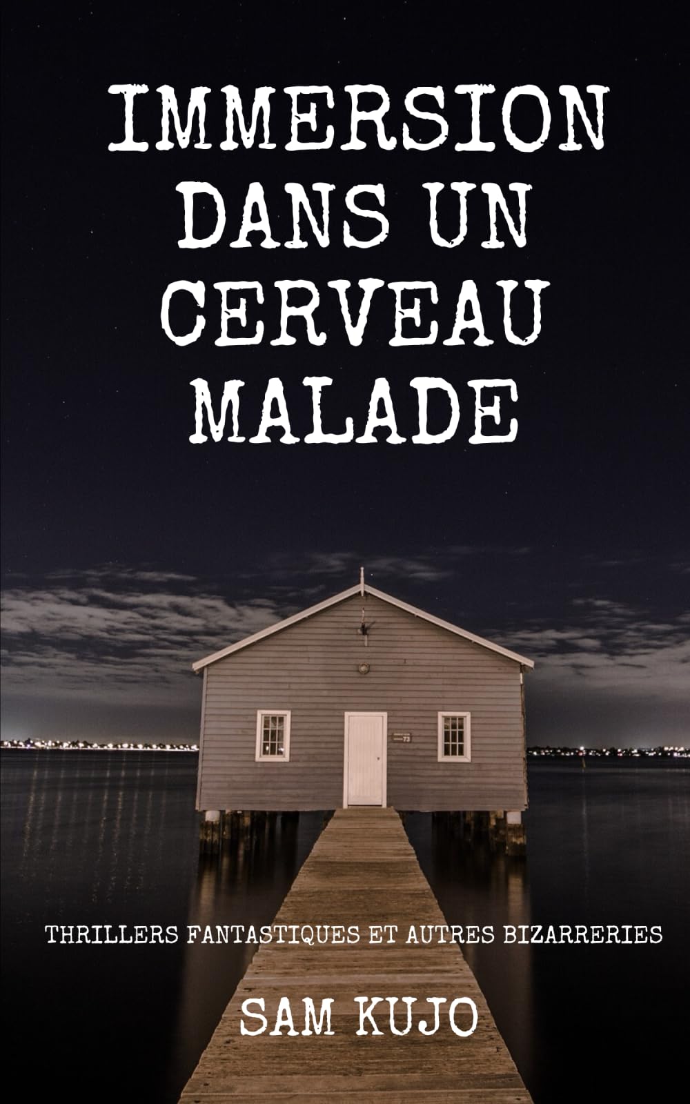 Immersion dans un cerveau malade: Thrillers fantastiques et autres bizarreries Essays & Short Stories