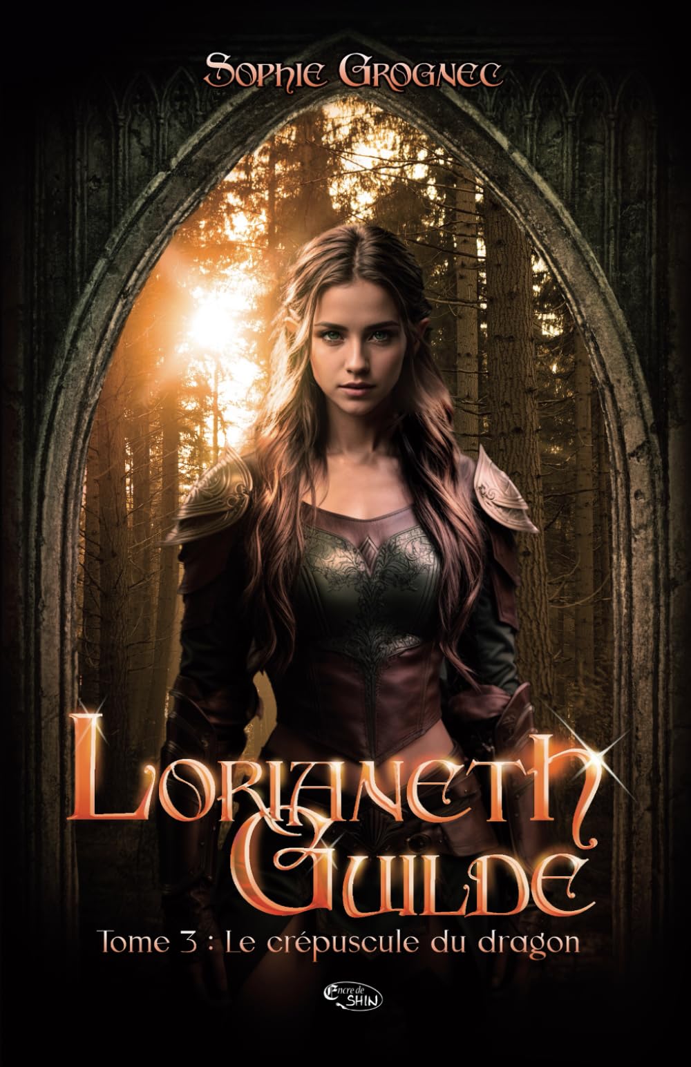 Lorianeth Guilde T.3 : le crépuscule du dragon book