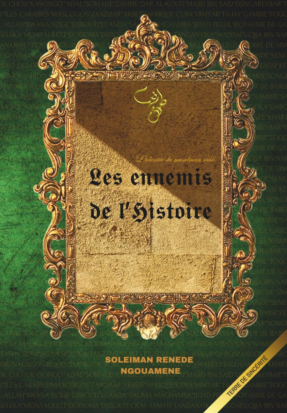 Les ennemis de l'histoire: L'identité du musulman noir book