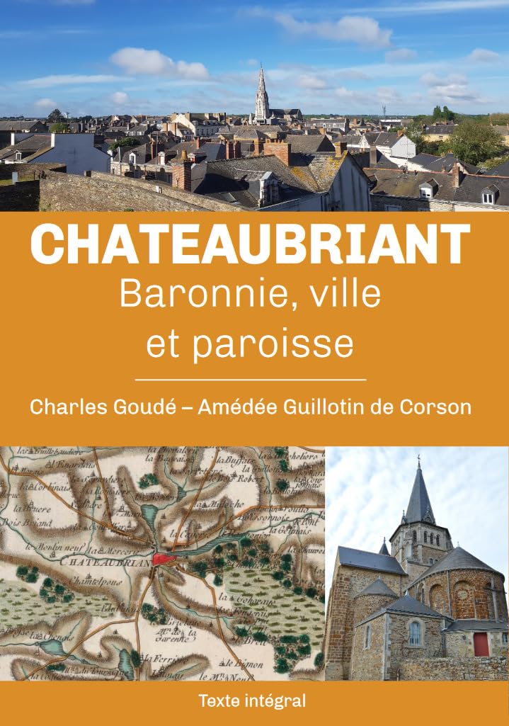 Histoire de Châteaubriant: baronnie, ville et paroisse book
