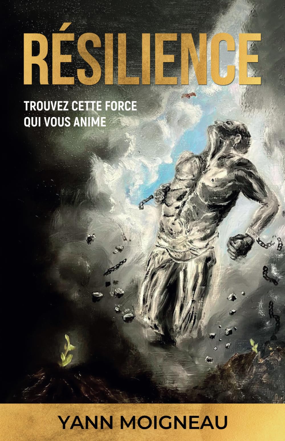 RÉSILIENCE: TROUVEZ CETTE FORCE QUI VOUS ANIME book
