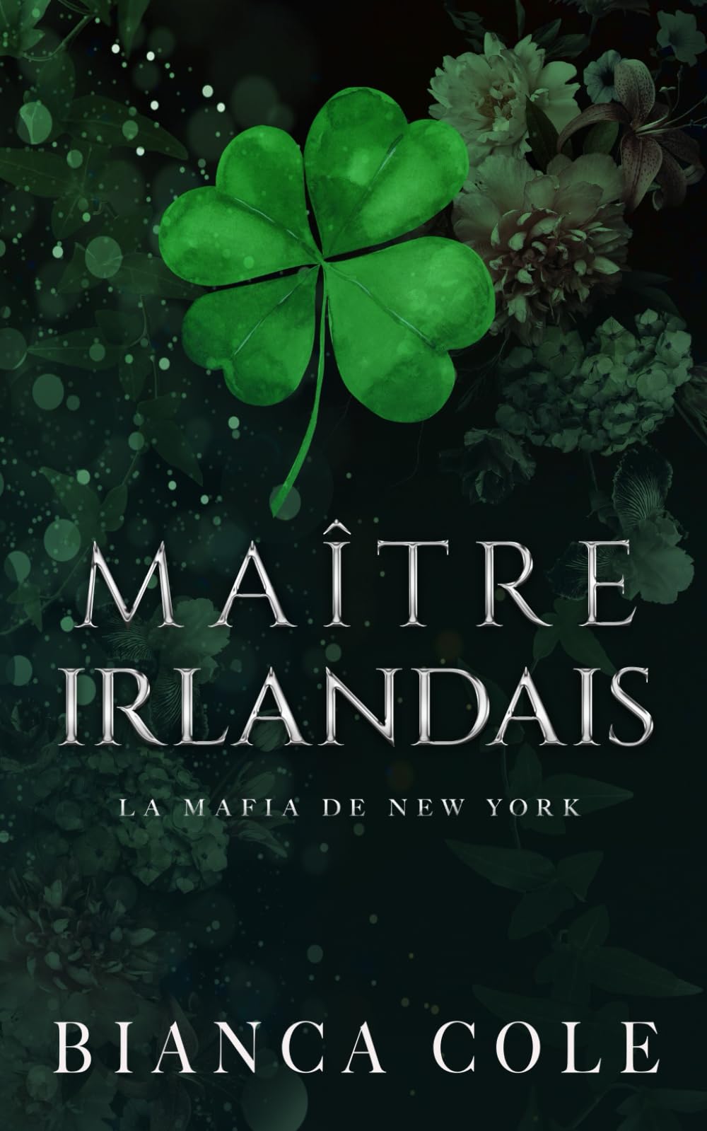 Maître Irlandais: Une Sombre Mafia Romance book