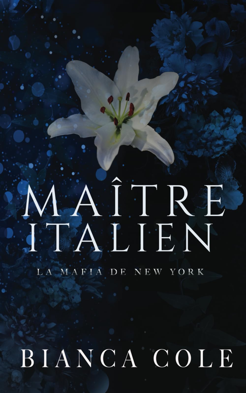Product Image: Maître Italien