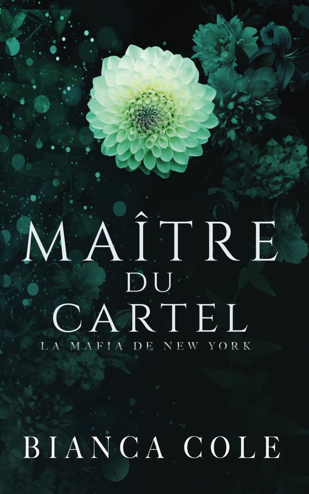 Maître du Cartel (La Mafia De New York) Horror & Mystery