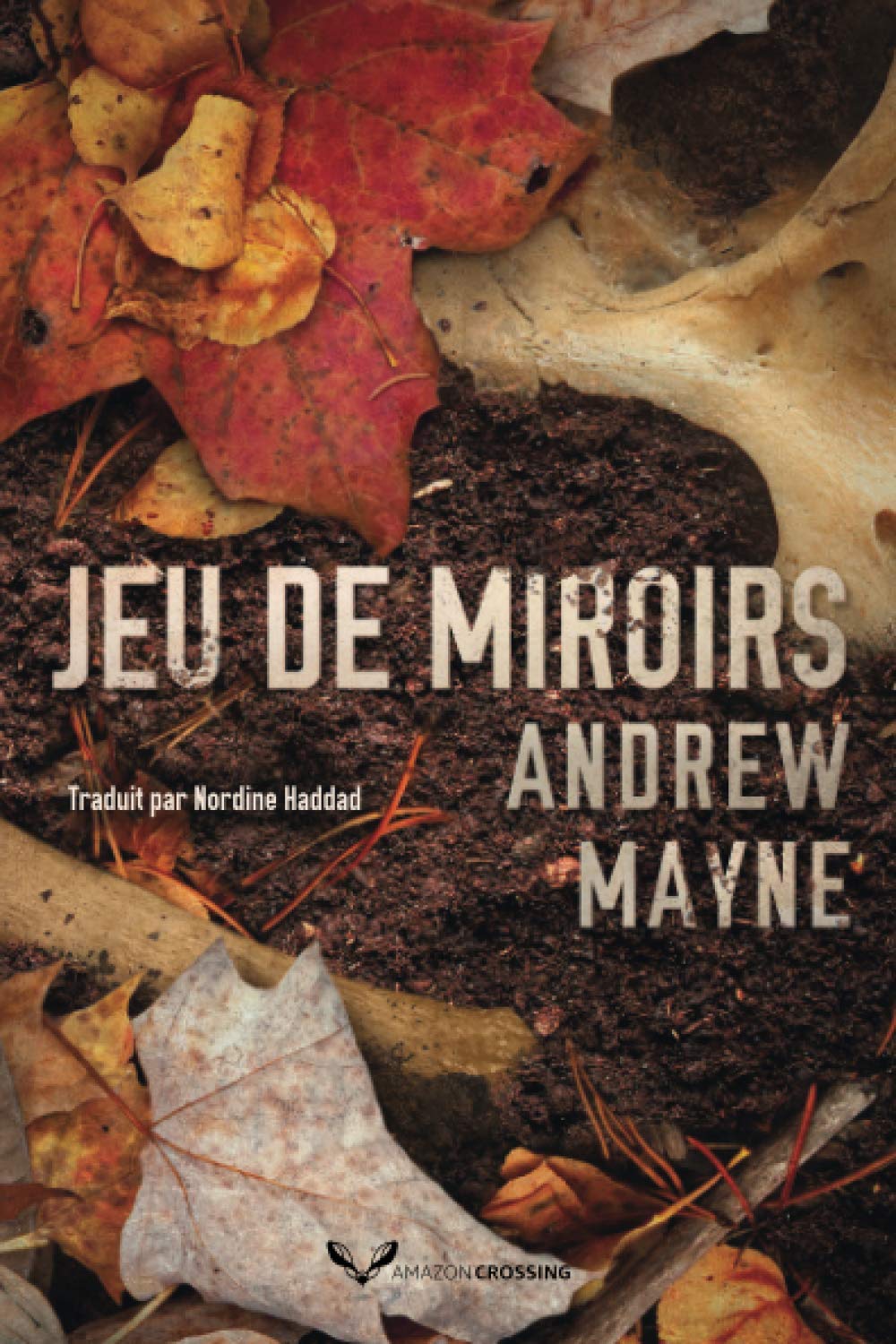 Jeu de miroirs (Une enquête de Theo Cray, Band 2) Detective & CSI