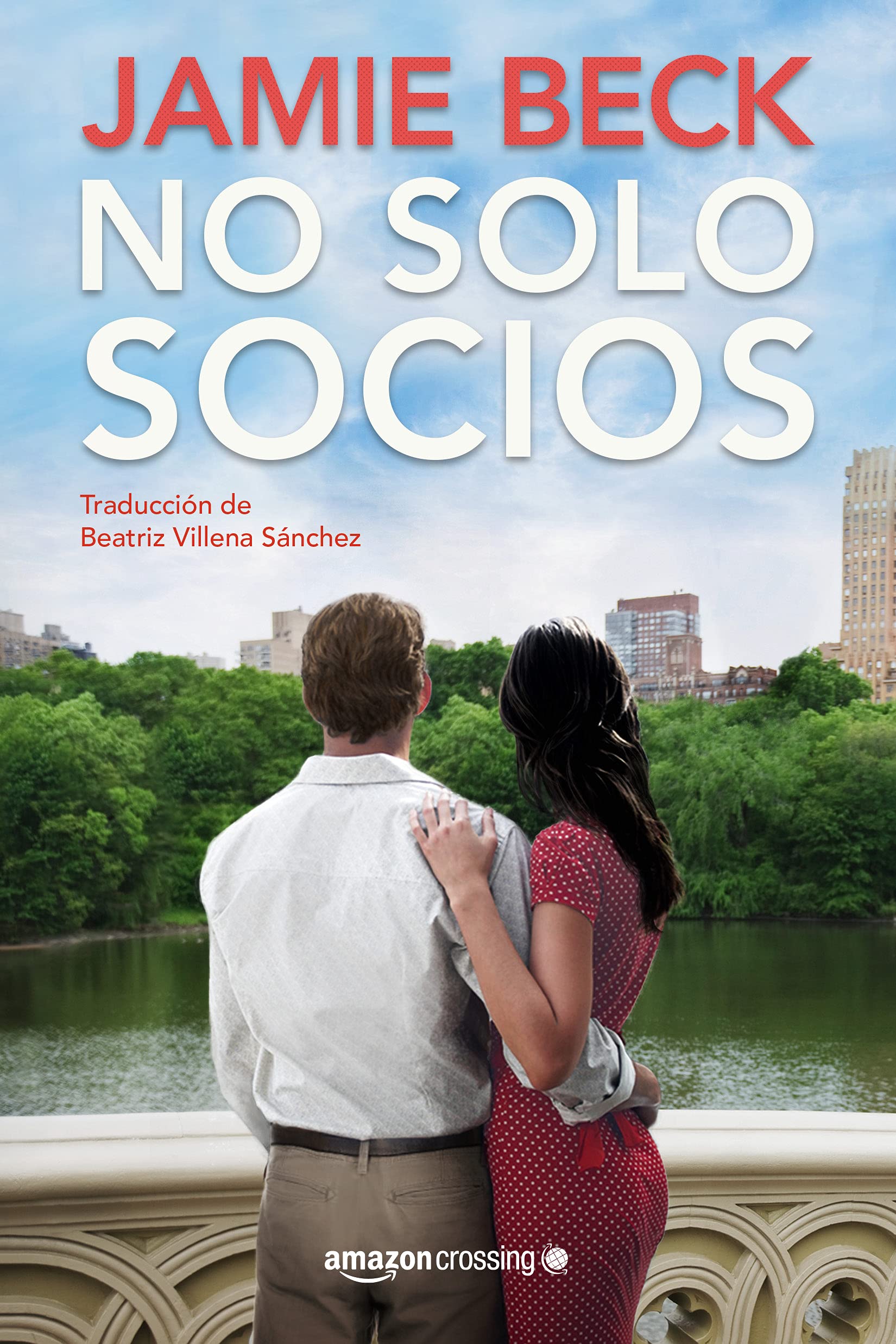 No solo socios (Hermanos St. James, Band 2) Contemporary literature