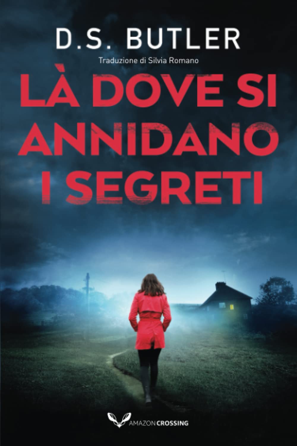 Là dove si annidano i segreti book