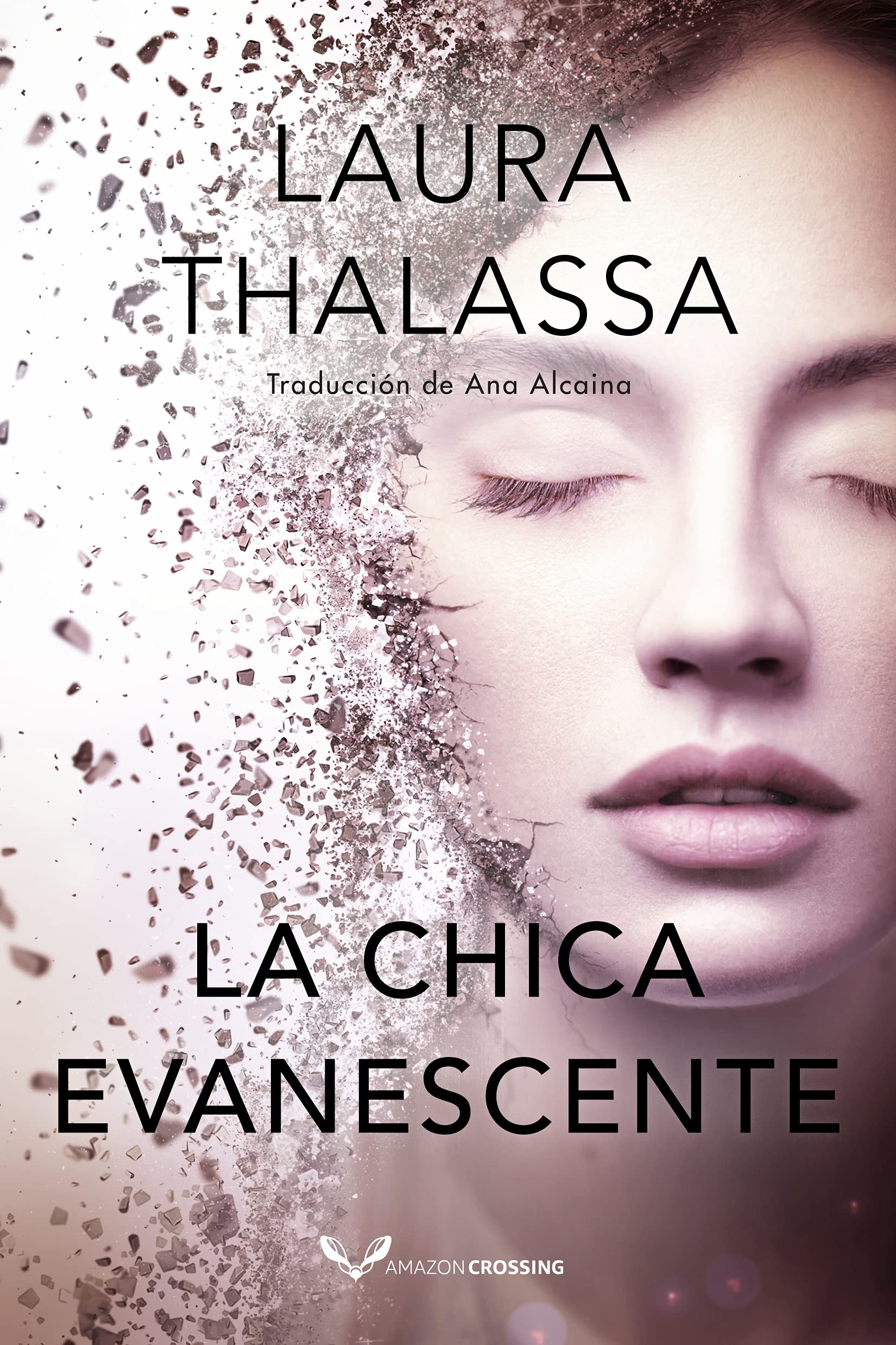 La chica evanescente (Vanishing Girl, 1, Band 1) Contemporary literature