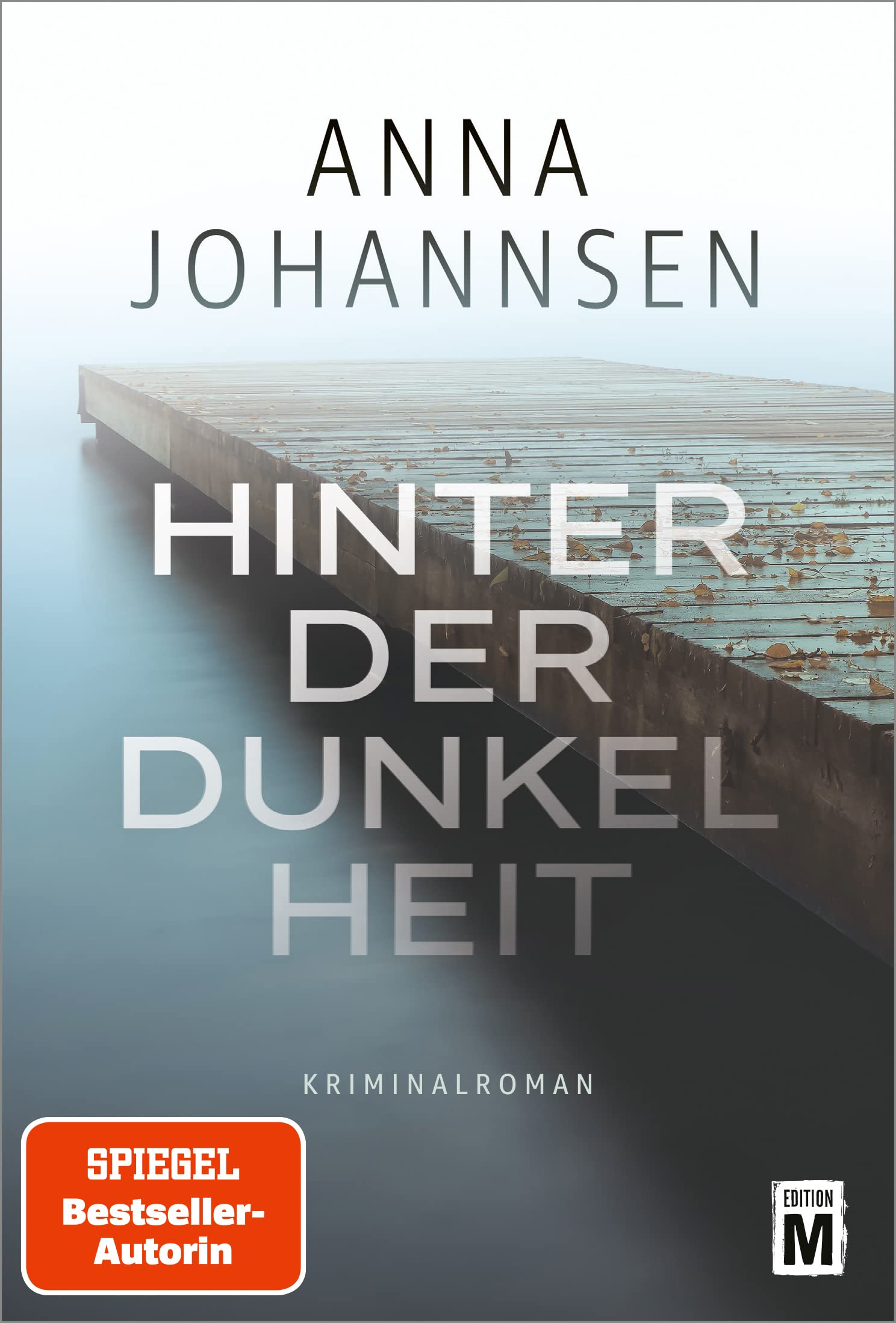 Hinter der Dunkelheit Contemporary literature Books