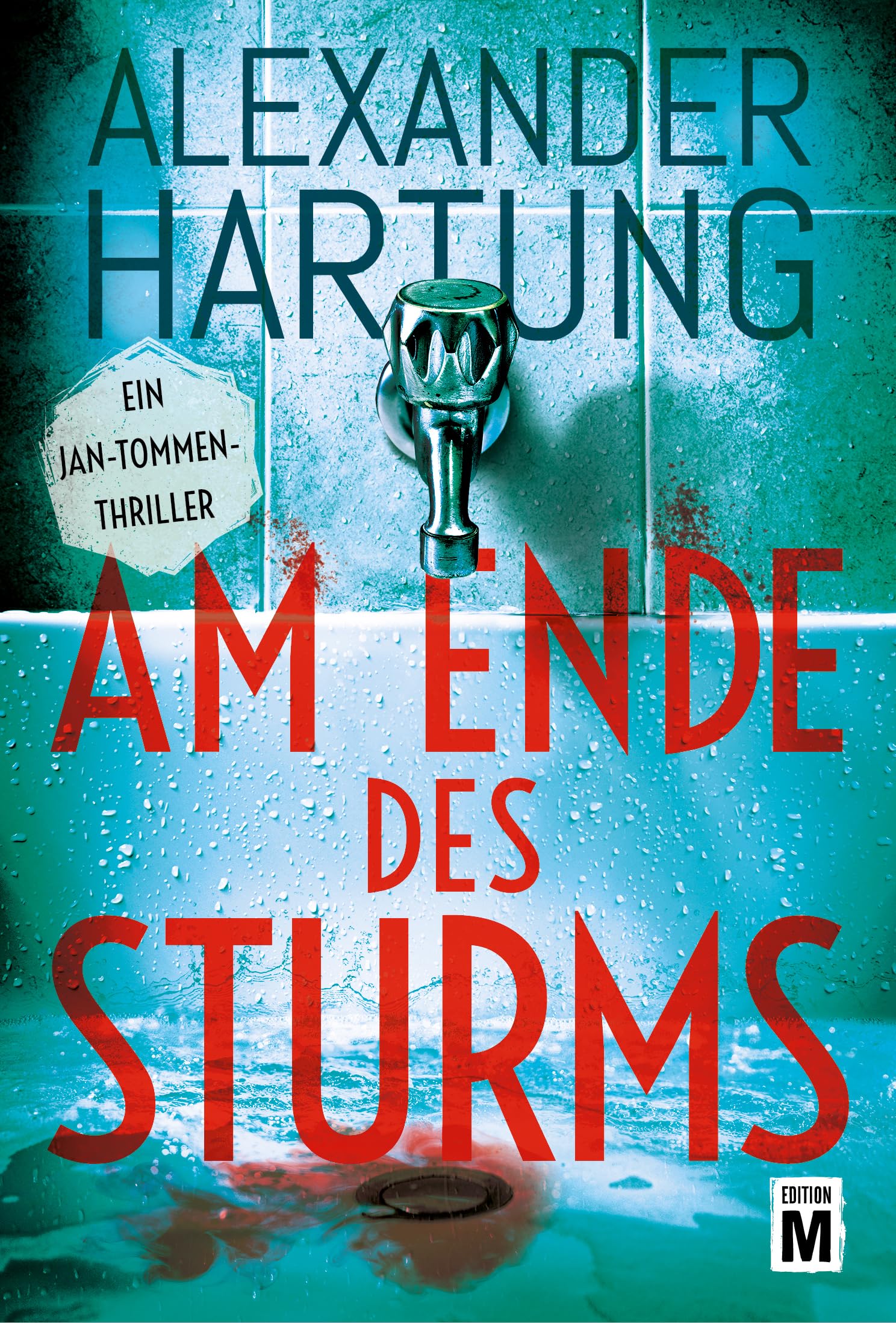 Am Ende des Sturms Contemporary literature Books